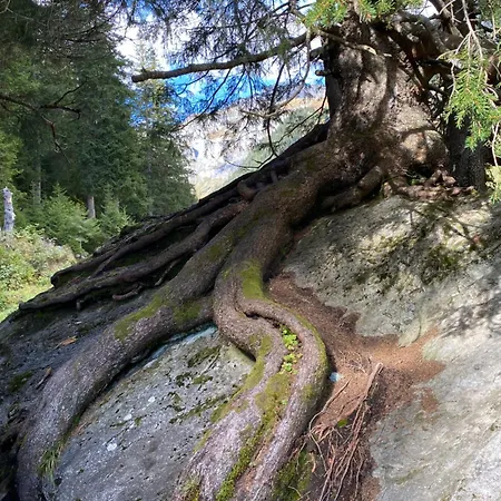 アパート Hoch Ueber Dem Rheintal