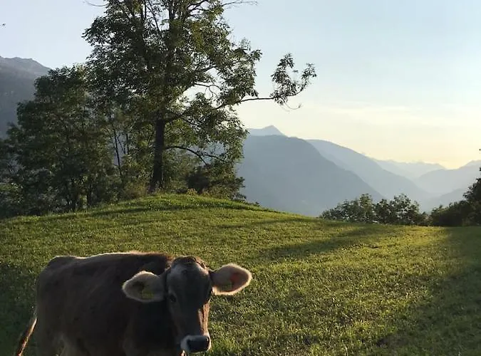 Hoch Ueber Dem Rheintal * Breíl