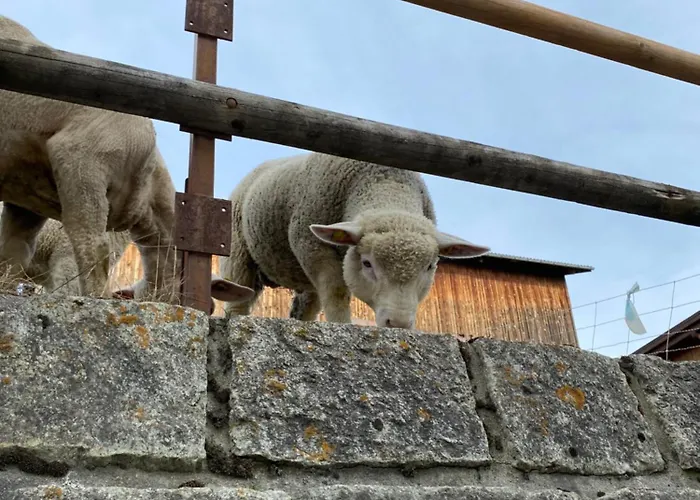 Apartamento Hoch Ueber Dem Rheintal *