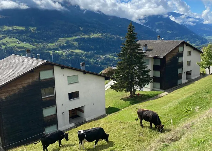 Appartement Hoch Ueber Dem Rheintal *