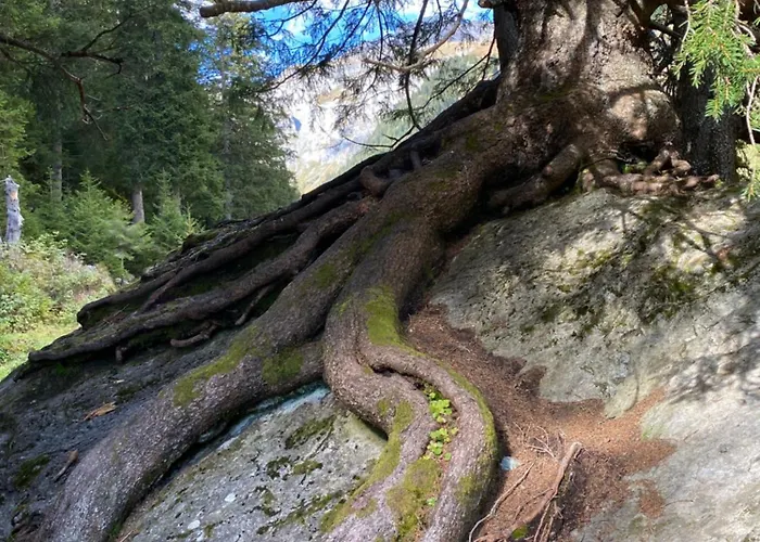 Apartamento Hoch Ueber Dem Rheintal