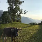 Hoch Ueber Dem Rheintal * Breíl