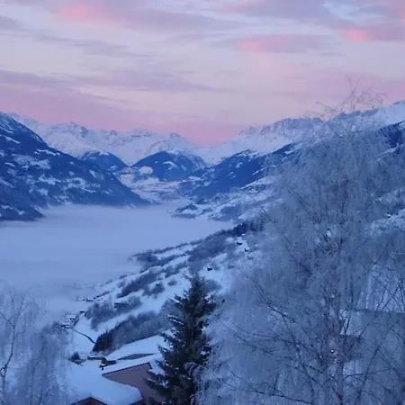 Hoch Ueber Dem Rheintal 公寓 *