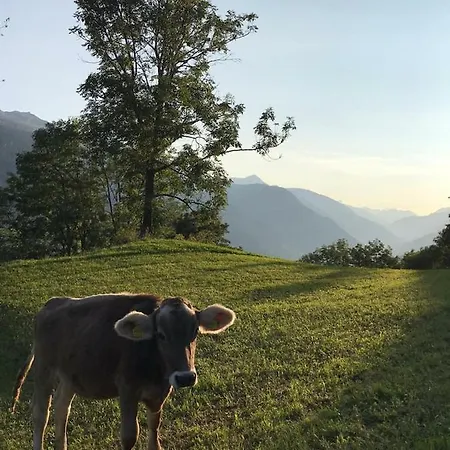 Hoch Ueber Dem Rheintal * Breil/Brigels
