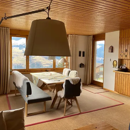 Hoch Ueber Dem Rheintal Apartment *